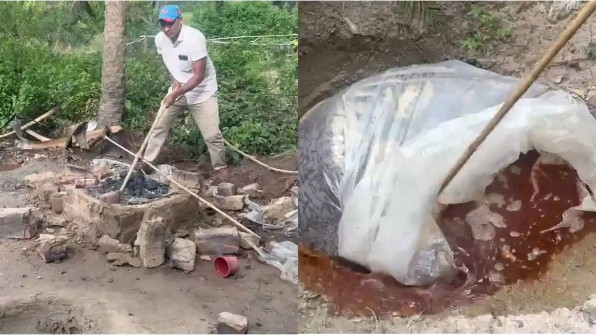 इचुआ शराब छापेमारी पर उत्पाद विभाग की सफाई: ड्रोन से हुई कार इचुआ शराब छापेमारी पर उत्पाद विभाग की सफाई: ड्रोन से हुई कार