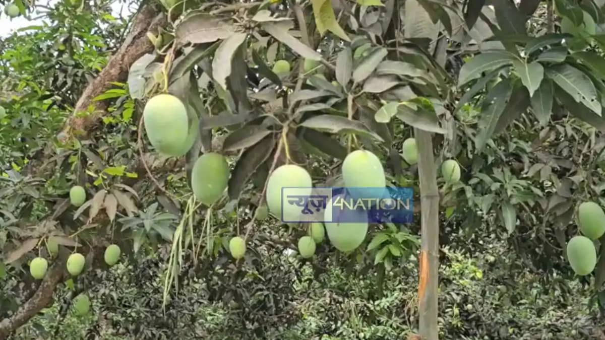 Impact of India Bangladesh tension Impact of India Bangladesh tension
