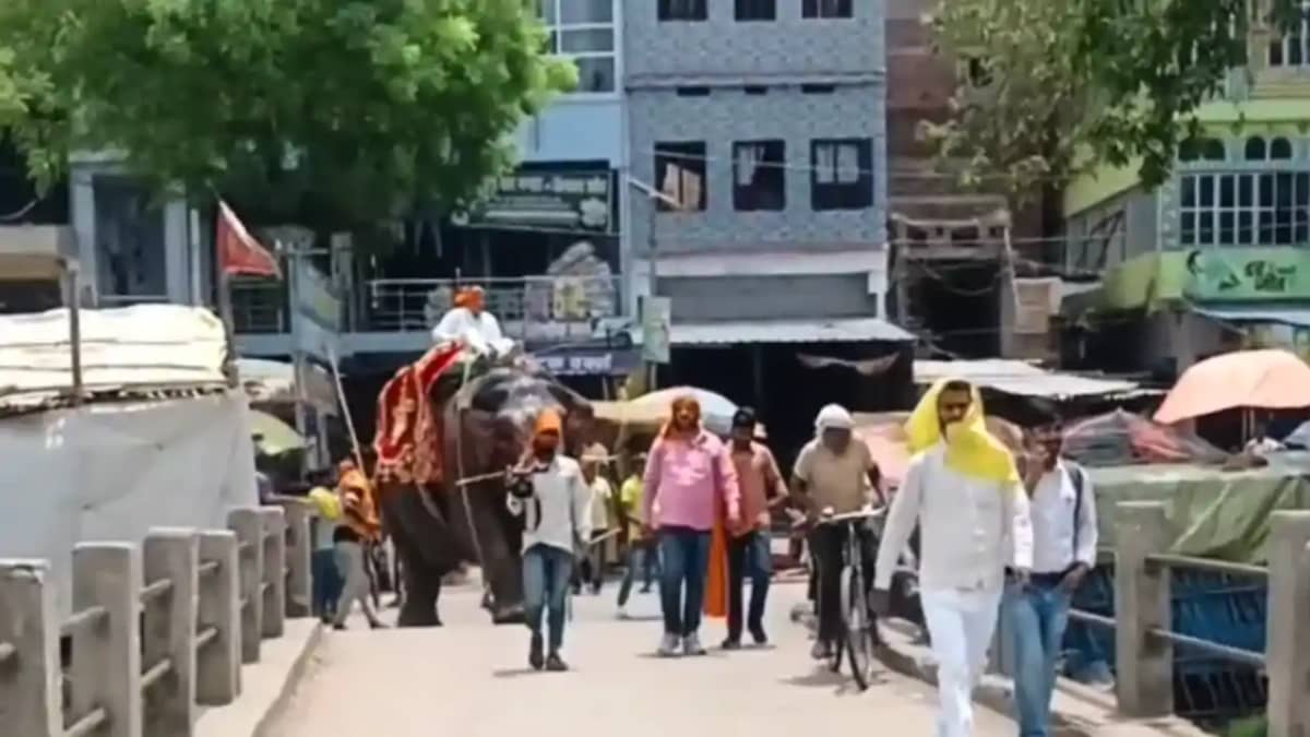 Bihar Political News : रोहतास में कांग्रेस विधायक ने की हाथी Bihar Political News : रोहतास में कांग्रेस विधायक ने की हाथी