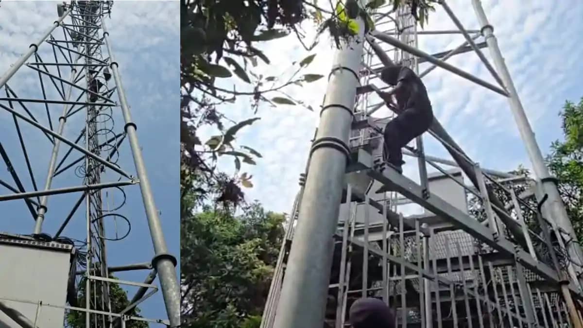 Bihar News : बेतिया में प्रेमी की बेरुखी से नाराज युवती मोबा Bihar News : बेतिया में प्रेमी की बेरुखी से नाराज युवती मोबा