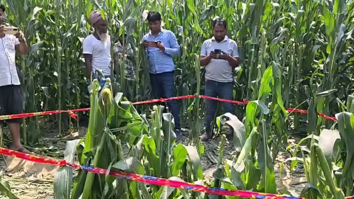 Katihar News : नशे की शिकायत करने पर 9 साल की मासूम की गला र Katihar News : नशे की शिकायत करने पर 9 साल की मासूम की गला र