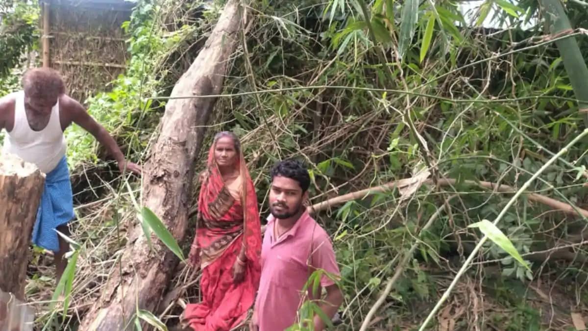 सहरसा में प्राकृति का कहर : पत्रकार के घर पर गिरा विशाल पेड़ सहरसा में प्राकृति का कहर : पत्रकार के घर पर गिरा विशाल पेड़