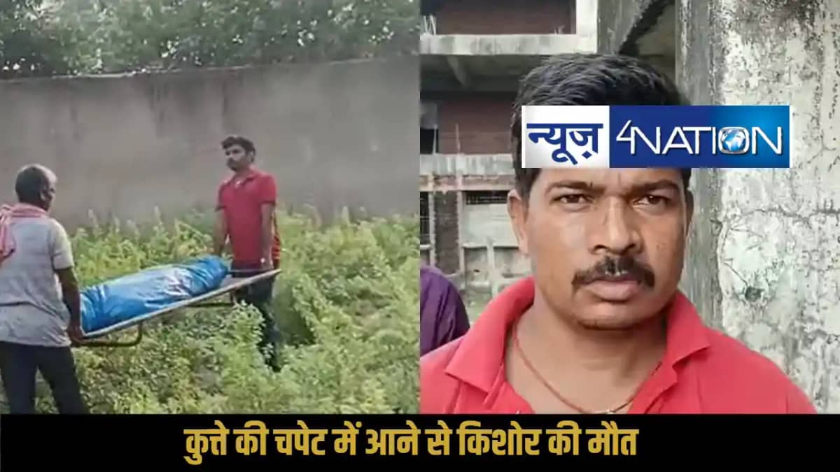 Aurangabad dog attack Aurangabad dog attack