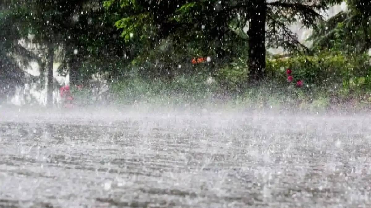UP Weather: सहारनपुर से लेकर बहराइच तक यूपी के इन 45 जिलों UP Weather: सहारनपुर से लेकर बहराइच तक यूपी के इन 45 जिलों
