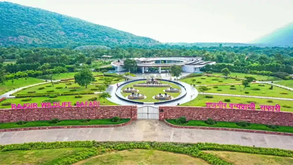 Rajgir Safari Launches Rajgir Safari Launches