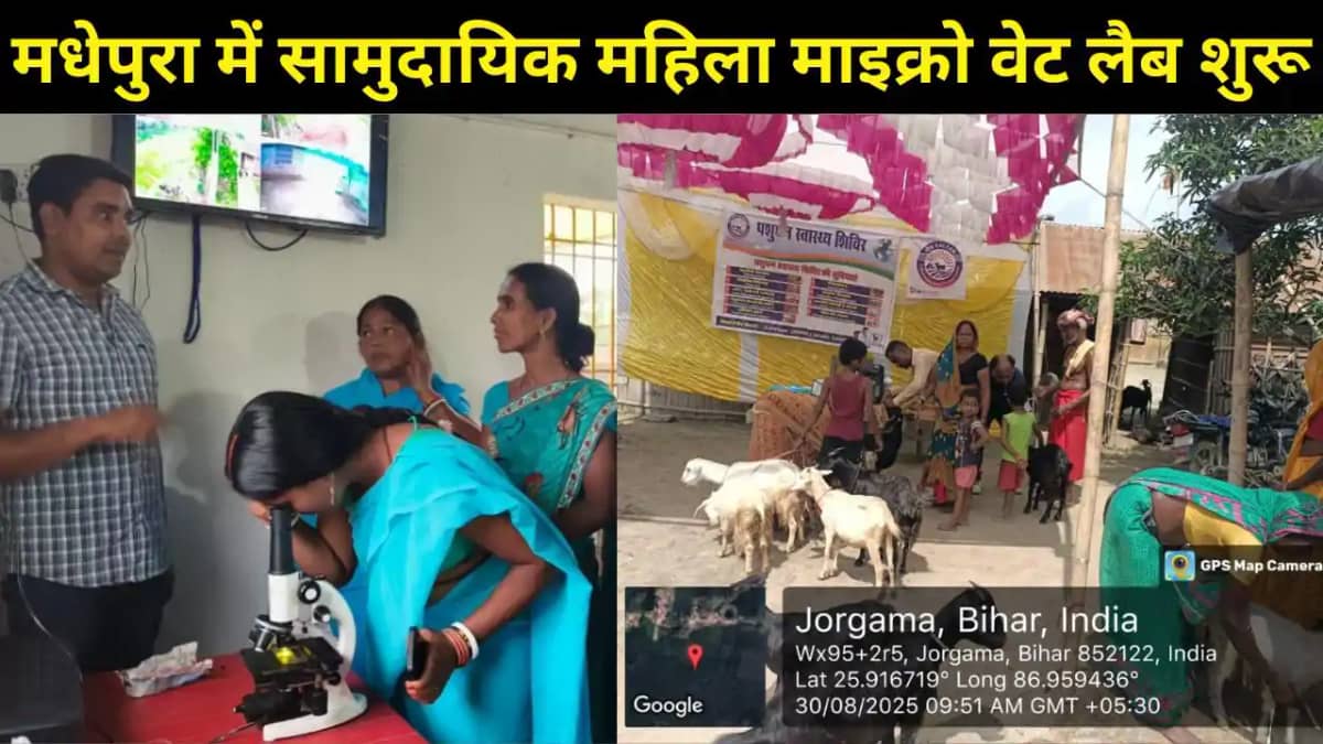 मधेपुरा में देश की पहली सामुदायिक महिला माइक्रो वेट लैब शुरू मधेपुरा में देश की पहली सामुदायिक महिला माइक्रो वेट लैब शुरू