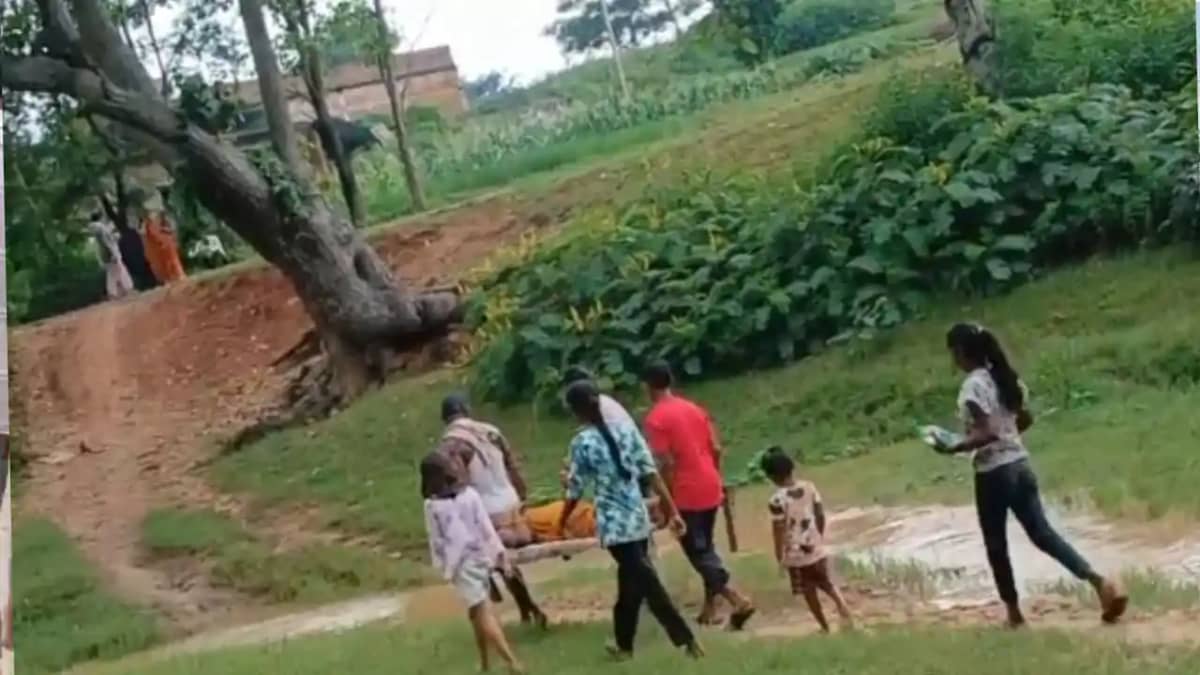 Bee Swarm Kills Banka Woman After Delayed Hospital Transport Bee Swarm Kills Banka Woman After Delayed Hospital Transport