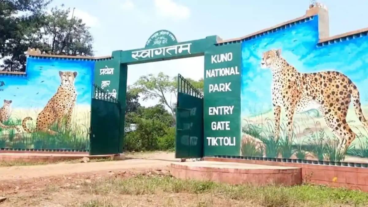 तीन साल बाद आम लोगों के लिए खुला यह नेशनल पार्क, इस खास जानव तीन साल बाद आम लोगों के लिए खुला यह नेशनल पार्क, इस खास जानव
