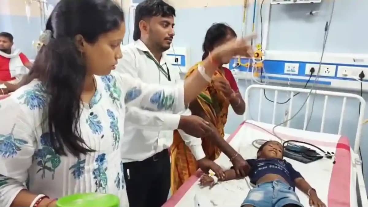 Bihar News : नालंदा में बच्ची को डसने वाले जिंदा कोबरा को डि Bihar News : नालंदा में बच्ची को डसने वाले जिंदा कोबरा को डि