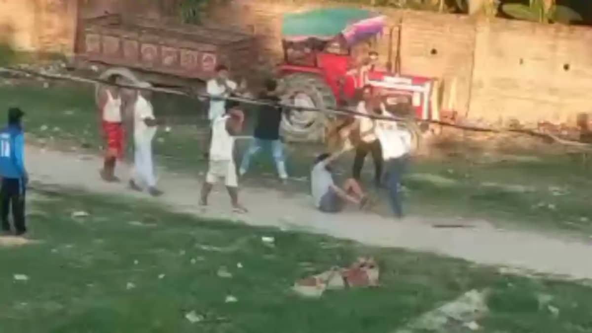 Vaishali Sword Attack Leaves Vaishali Sword Attack Leaves