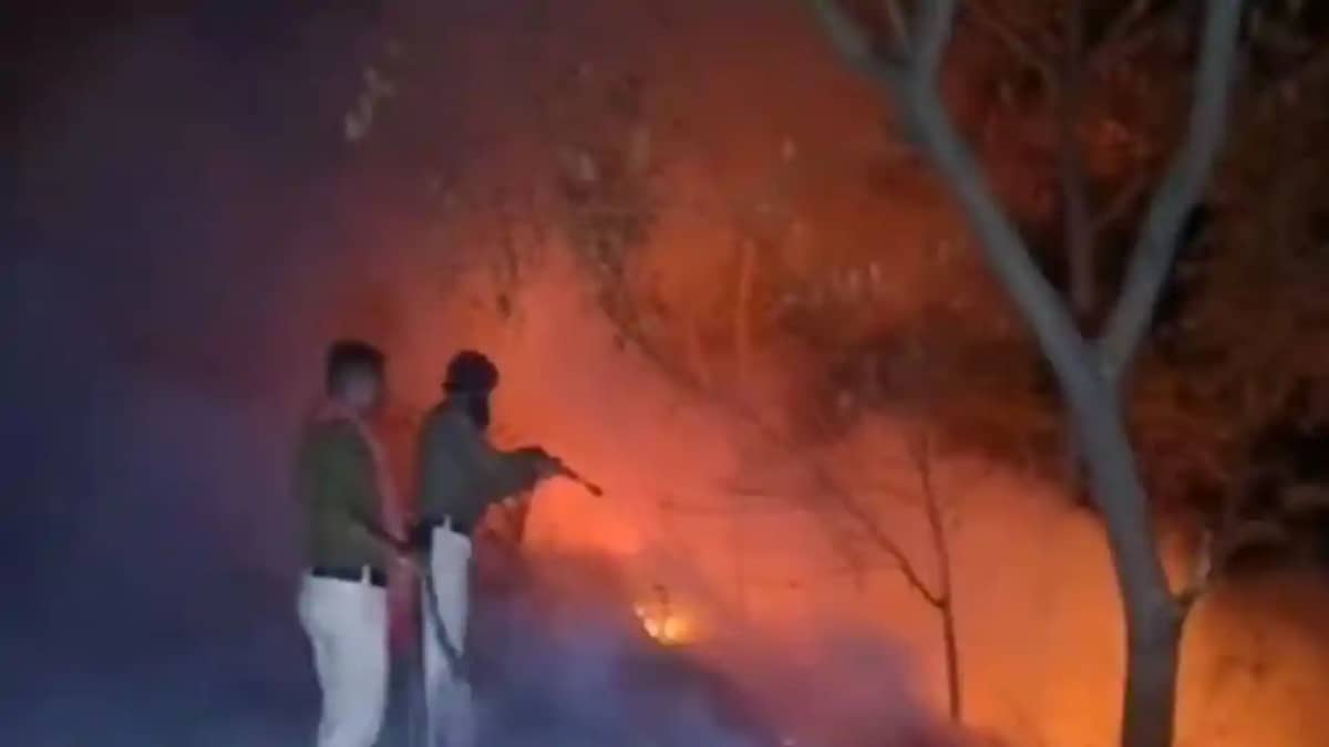 Forest fire near Tilaiya bridge alertness of passersby avert Forest fire near Tilaiya bridge alertness of passersby avert
