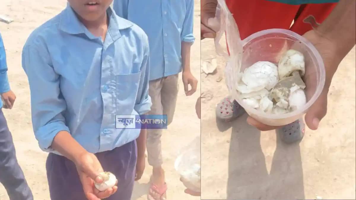 Motihari Worm found in mid day meal probe ordered after 15 d Motihari Worm found in mid day meal probe ordered after 15 d