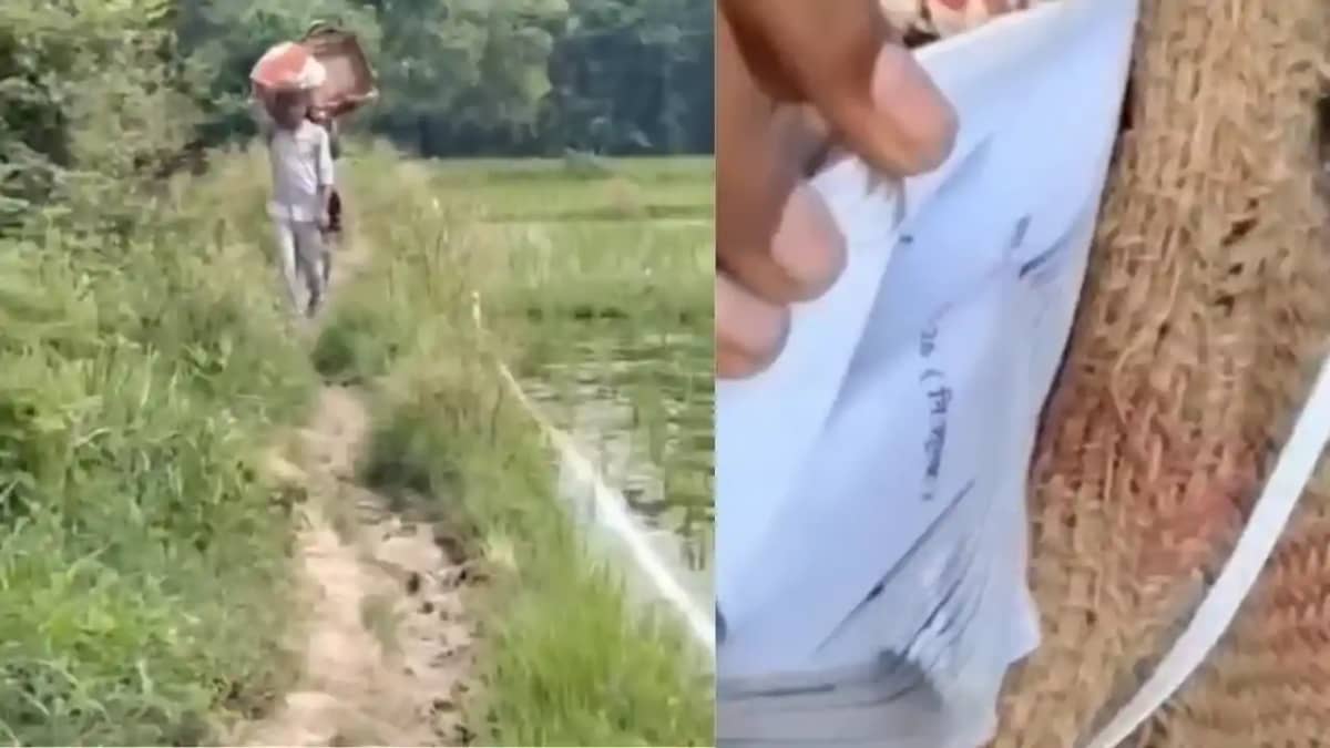 Bihar News : गयाजी के सरकारी स्कूल में किताबों की खरीद-बिक्र Bihar News : गयाजी के सरकारी स्कूल में किताबों की खरीद-बिक्र