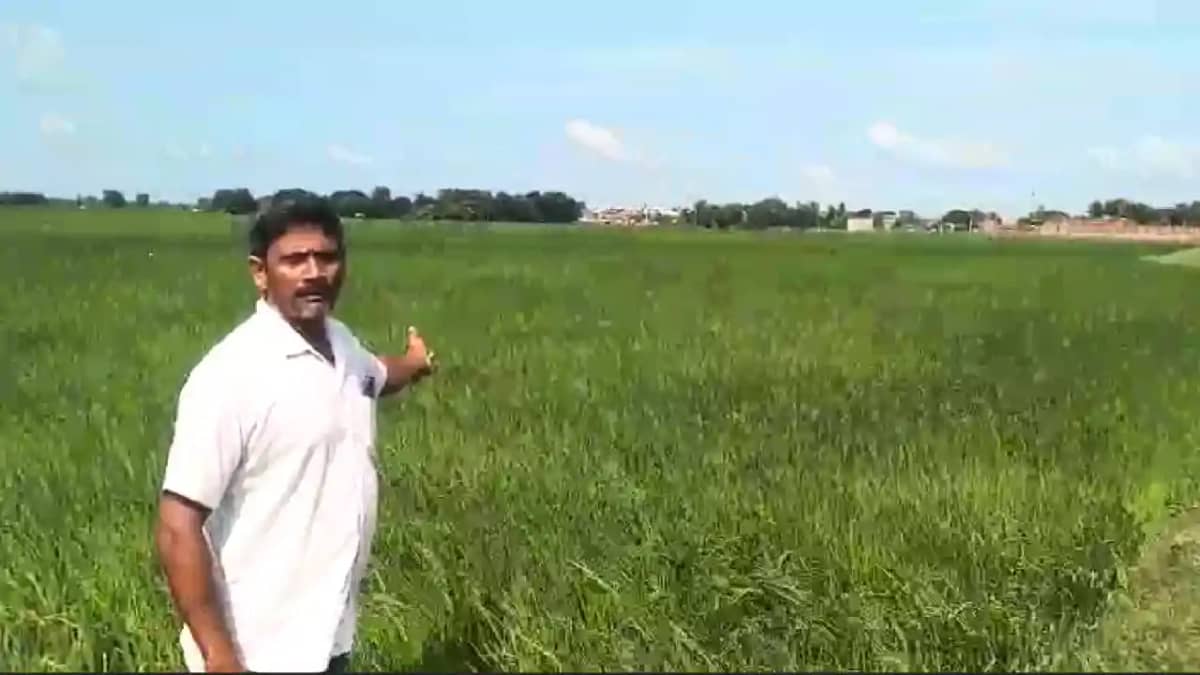 Bihar News : अयोध्या में रामलल्ला के भोग पर गहराए संकट के बा Bihar News : अयोध्या में रामलल्ला के भोग पर गहराए संकट के बा