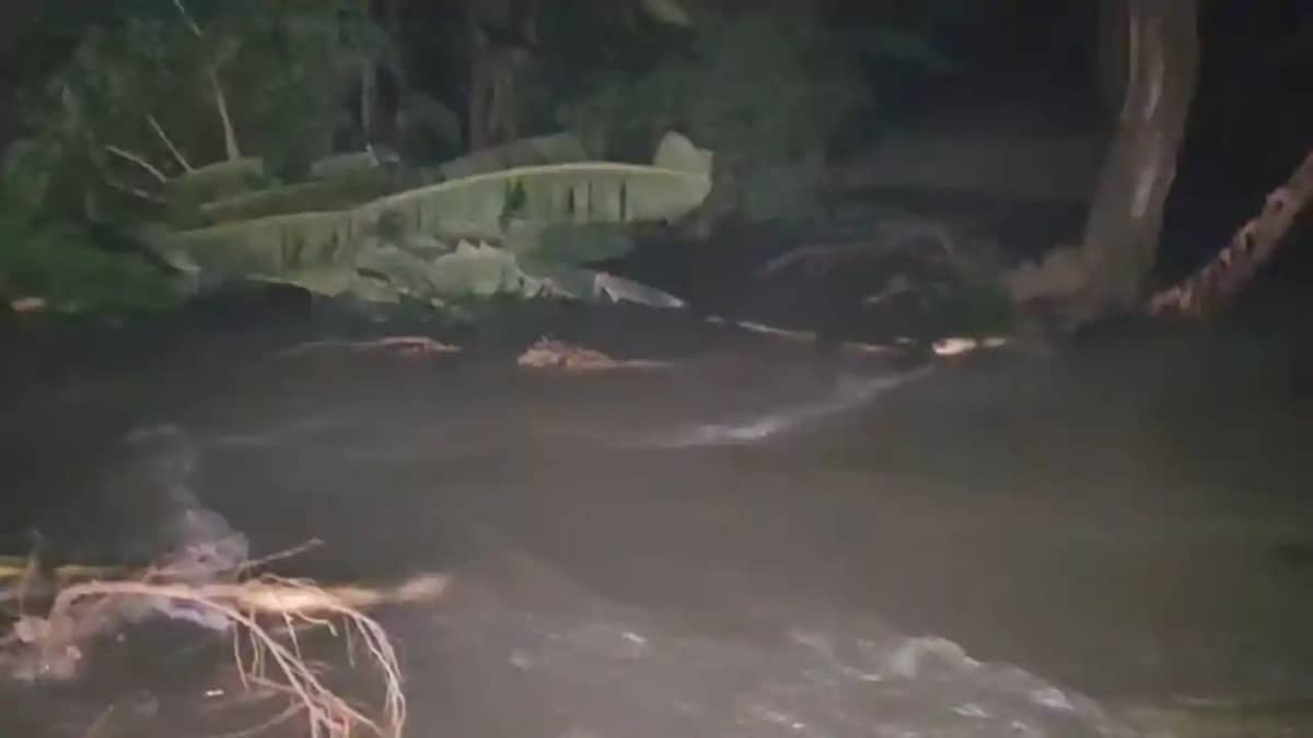 Gandak River Ring Dam Breaks Gandak River Ring Dam Breaks