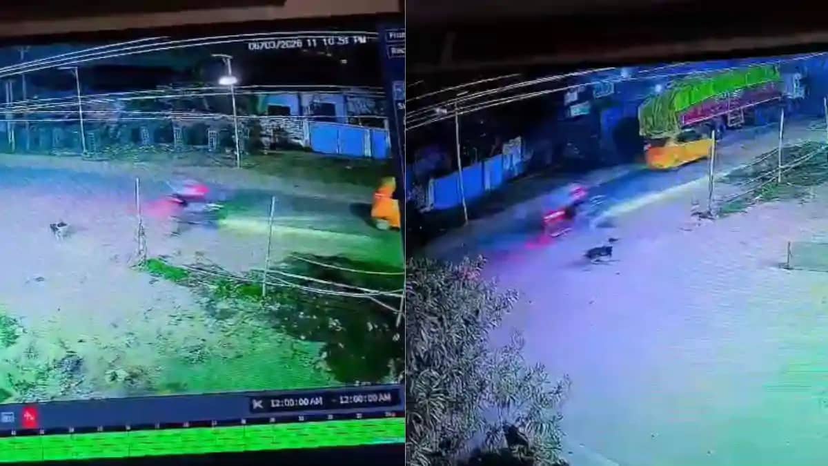 हाजीपुर में कुत्तों के झुंड ने ली युवक की जान: बाइक से गिरकर हाजीपुर में कुत्तों के झुंड ने ली युवक की जान: बाइक से गिरकर
