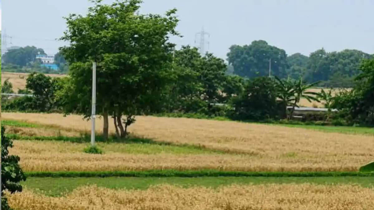 Bihar Land Mutation Bihar Land Mutation