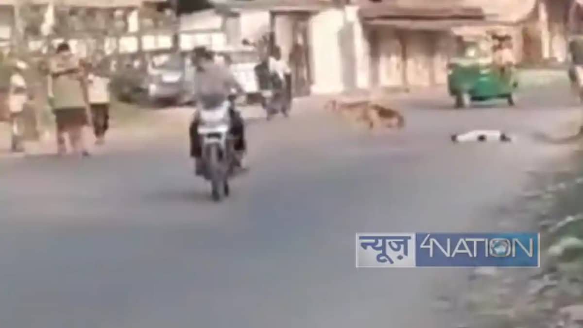 Viral Video: सड़क पर कुत्ते को गोली मारने का वीडियो वायरल, घ Viral Video: सड़क पर कुत्ते को गोली मारने का वीडियो वायरल, घ