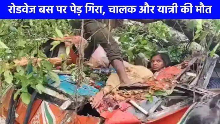 Barabanki Accident: बाराबंकी में रोडवेज बस पर गिरा पेड़ ड्रा Barabanki Accident: बाराबंकी में रोडवेज बस पर गिरा पेड़ ड्रा