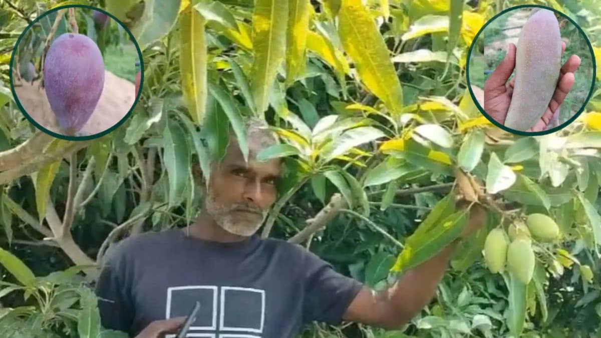 Agriculture Success Story Bihar Agriculture Success Story Bihar