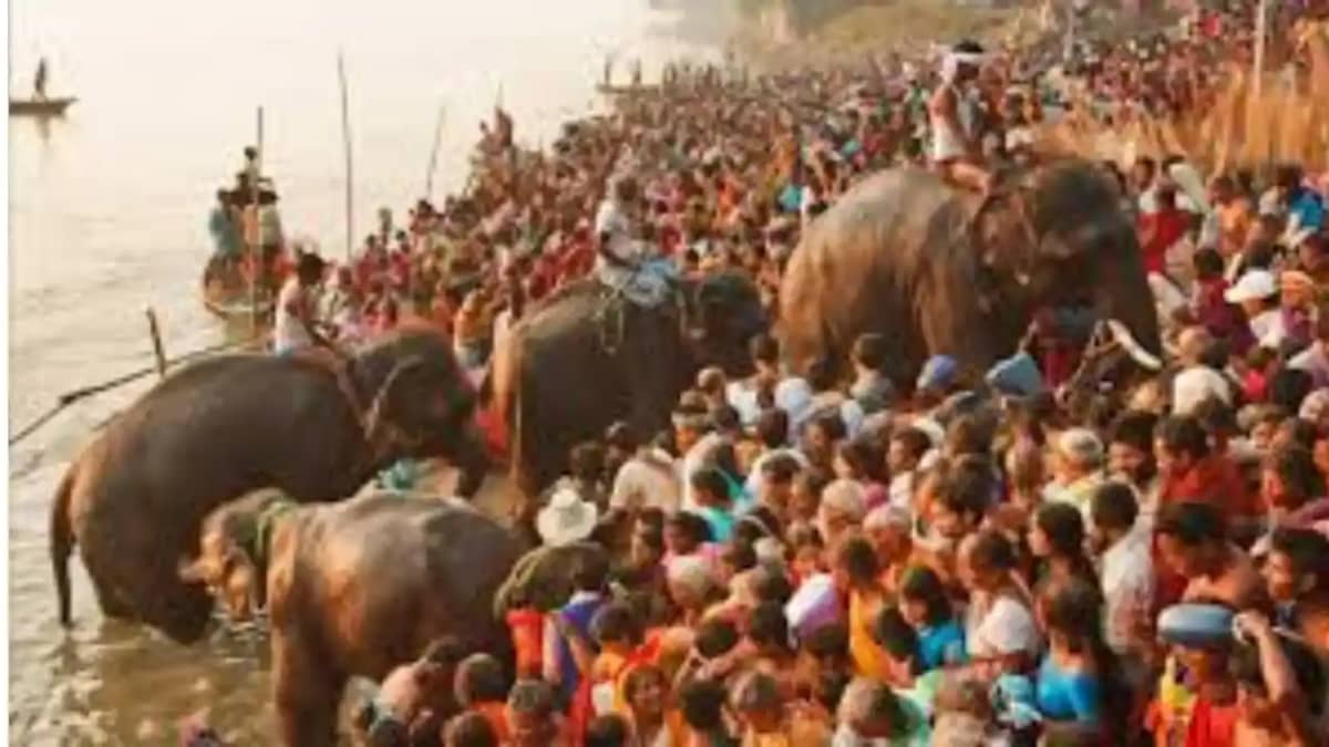 Sonpur Fair Sonpur Fair