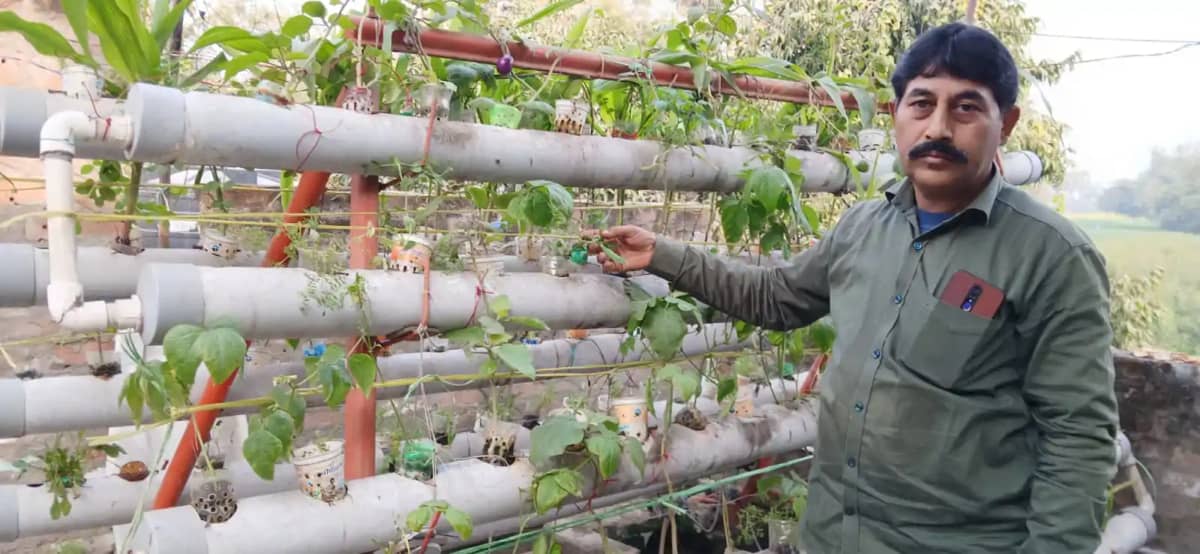 Hydroponics farming - खेत-खलिहान भूल जाइए! वैशाली के किसान न Hydroponics farming - खेत-खलिहान भूल जाइए! वैशाली के किसान न