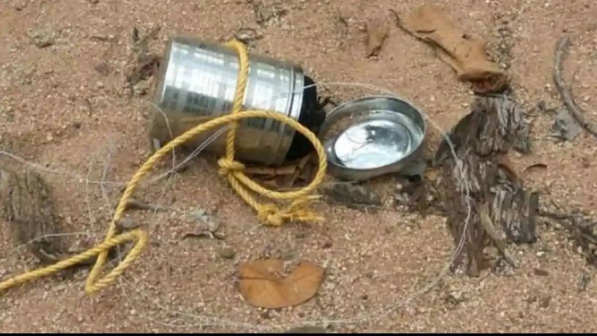 नक्सलियों की बड़ी साजिश को सुरक्षाबलों ने किया नाकाम, जंगल म नक्सलियों की बड़ी साजिश को सुरक्षाबलों ने किया नाकाम, जंगल म
