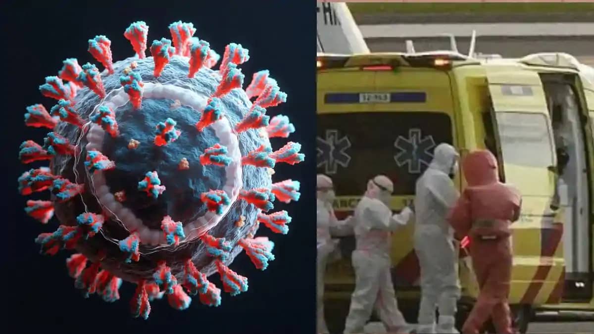 Hantavirus Scare 3 Dead Global Health Alert Intensifies Hantavirus Scare 3 Dead Global Health Alert Intensifies