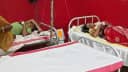 Bihar News : सुपौल में कस्तूरबा बालिका छात्रावास के भोजन में मिली छिपकली, 5 छात्राएं हुई बीमार, डीएम ने डीईओ को सौंपी जांच की जिम्मेवारी Bihar News : सुपौल में कस्तूरबा बालिका छात्रावास के भोजन में मिली छिपकली, 5 छात्राएं हुई बीमार, डीएम ने डीईओ को सौंपी जांच की जिम्मेवारी