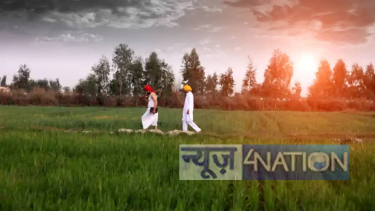 बिहार में हुए बेमौसम बरसात में किसानों की तोड़ी कमर बिहार में हुए बेमौसम बरसात में किसानों की तोड़ी कमर