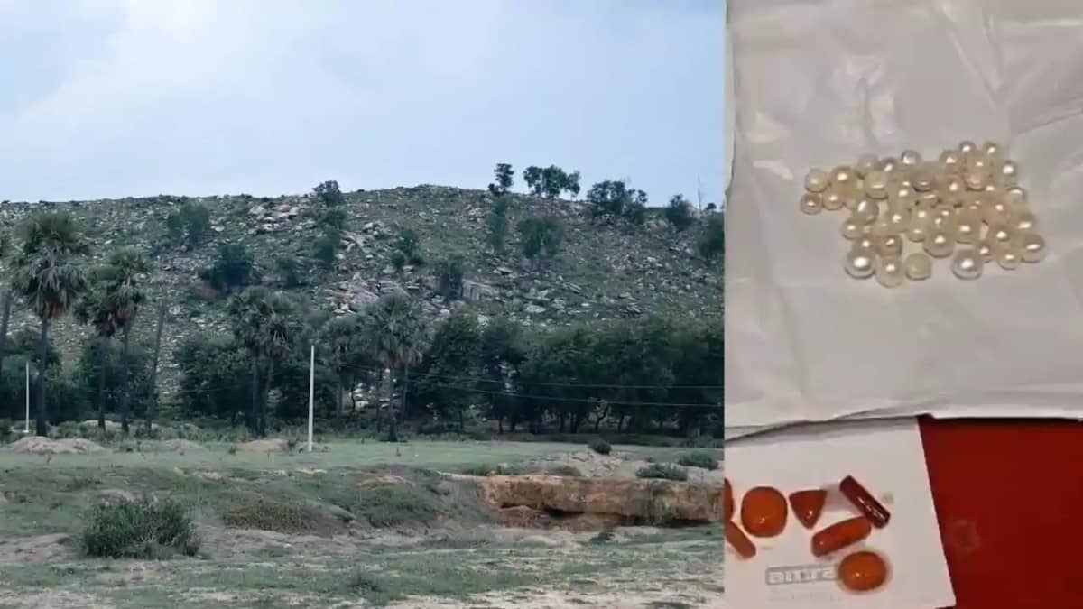 Bihar News : गयाजी का अनोखा हंसराज पर्वत, बारिश के साथ बरसते Bihar News : गयाजी का अनोखा हंसराज पर्वत, बारिश के साथ बरसते