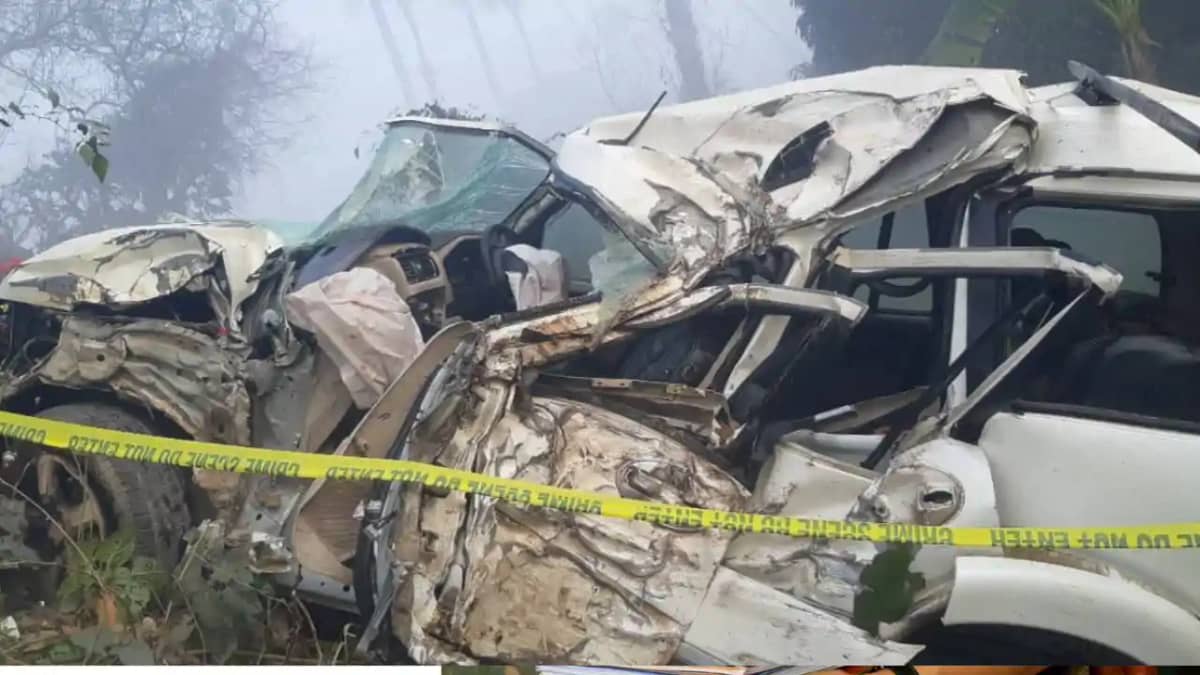 Morning Tragedy 3 Family Members Killed in Crash Morning Tragedy 3 Family Members Killed in Crash