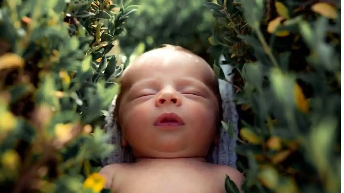 A two month old child was thrown into bushes in Ara A two month old child was thrown into bushes in Ara
