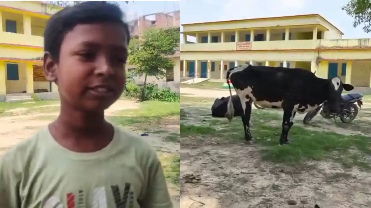 दरभंगा: जनगणना में व्यस्त हुए सभी शिक्षक, 12 दिनों से स्कूल दरभंगा: जनगणना में व्यस्त हुए सभी शिक्षक, 12 दिनों से स्कूल
