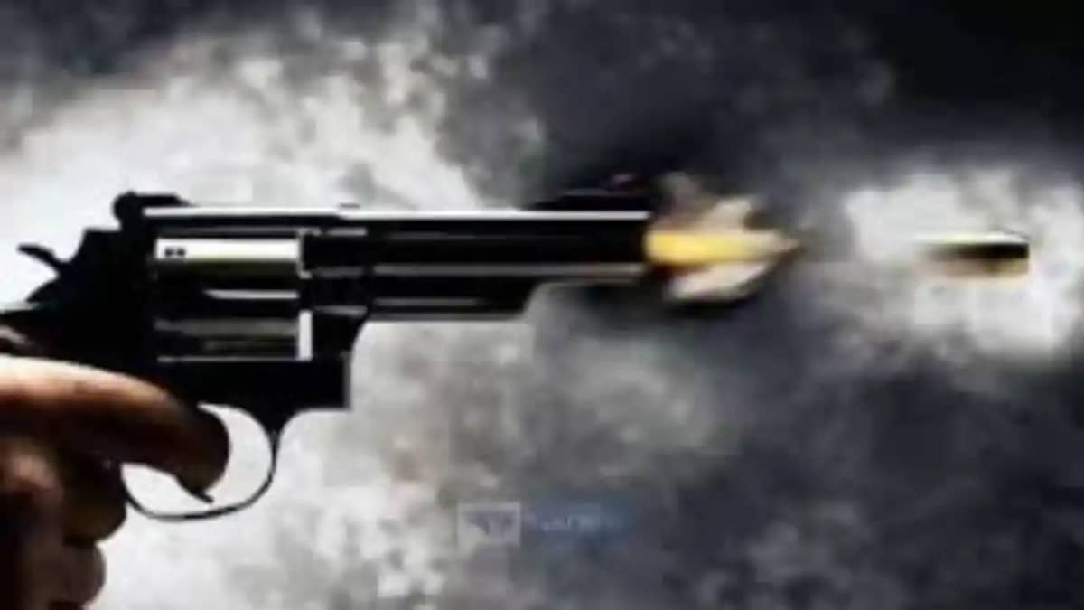 Bihar Crime: बदमाशों की ताबड़तोड़ फायरिंग, बाजार में अफरातफर Bihar Crime: बदमाशों की ताबड़तोड़ फायरिंग, बाजार में अफरातफर