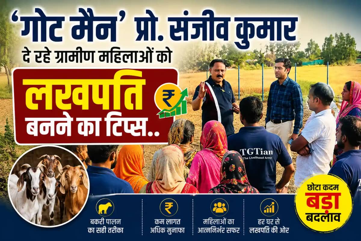 सिर्फ 20 बकरियों से बदल जाएगी किस्मत: ‘गोट मैन’ प्रो. संजीव सिर्फ 20 बकरियों से बदल जाएगी किस्मत: ‘गोट मैन’ प्रो. संजीव