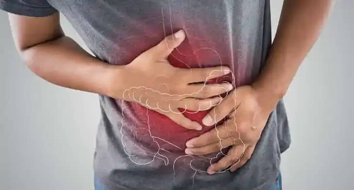 Digestive System Digestive System