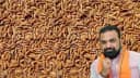 Bihar Paddy Procurement Bihar Paddy Procurement