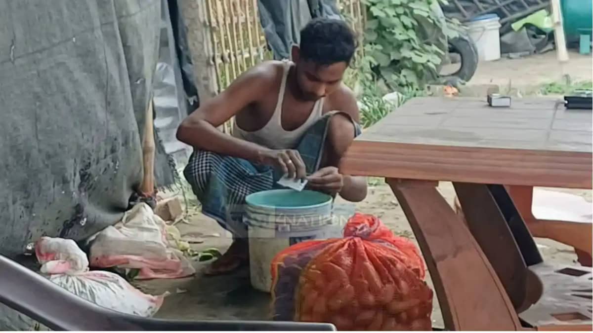 Bihar Chemical Vegetables: सब्जी ताजी या जहरीली? कैमरे में क Bihar Chemical Vegetables: सब्जी ताजी या जहरीली? कैमरे में क