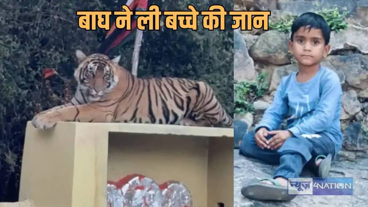 Tiger Attack - परिवार के साथ मंदिर आए बच्चे को उठाकर ले गया Tiger Attack - परिवार के साथ मंदिर आए बच्चे को उठाकर ले गया