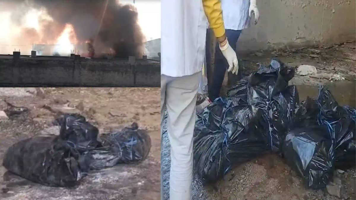 Bihar Motihari 7 workers died in an illegal factory in Bhiw Bihar Motihari 7 workers died in an illegal factory in Bhiw