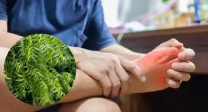 Uric Acid Uric Acid