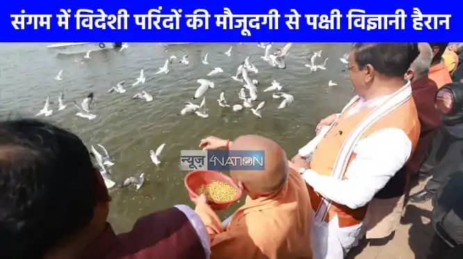 Mahakumbh 2025: महाकुम्भ में प्रदूषण मुक्त जल की रिपोर्ट पर Mahakumbh 2025: महाकुम्भ में प्रदूषण मुक्त जल की रिपोर्ट पर