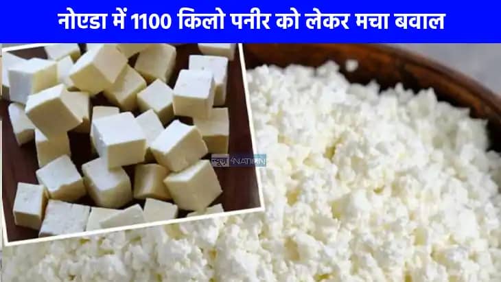 UP NEWS: नोएडा में 1100 किलो नकली पनीर का मामला गरमाया, BJP UP NEWS: नोएडा में 1100 किलो नकली पनीर का मामला गरमाया, BJP