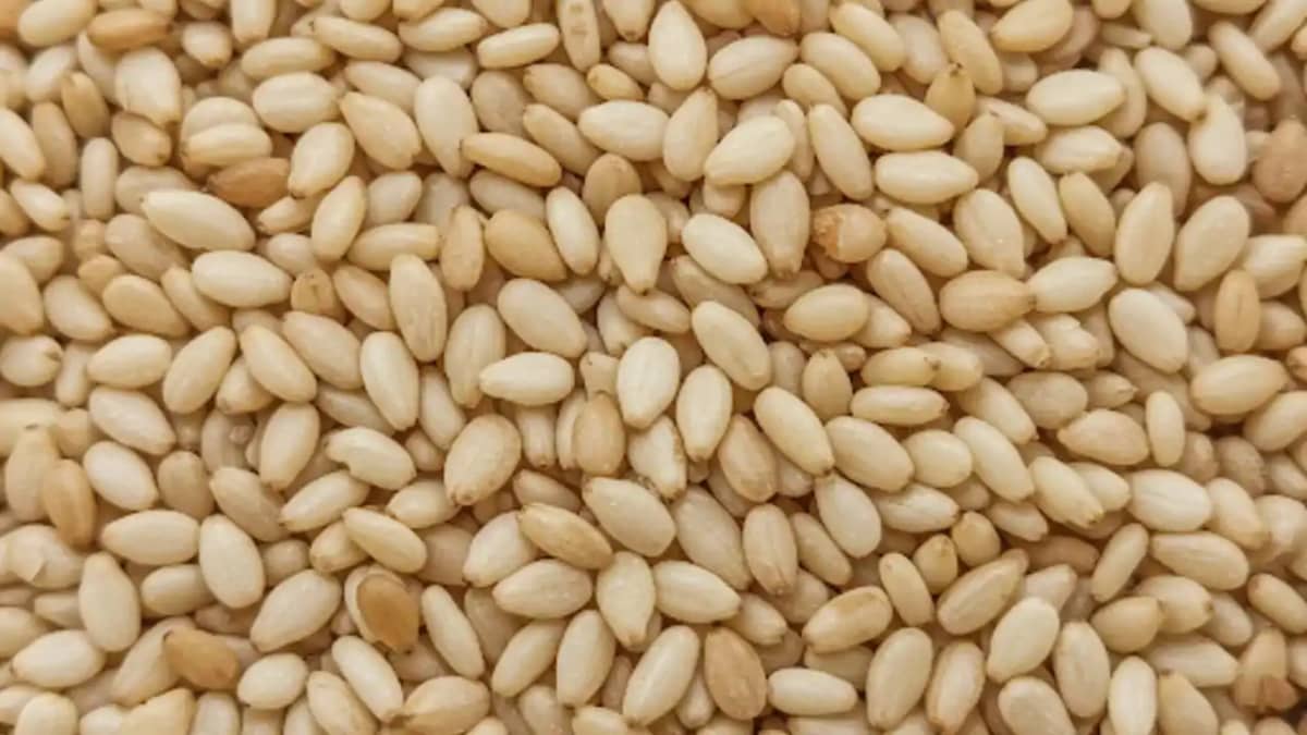 Seasame Seed Seasame Seed