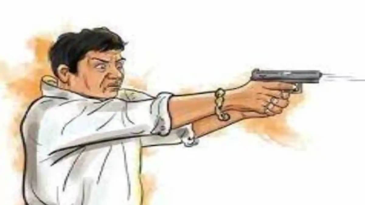 Bihar Crime News:बिहार में दिनदहाड़े लूटपाट के दौरान युवक को Bihar Crime News:बिहार में दिनदहाड़े लूटपाट के दौरान युवक को