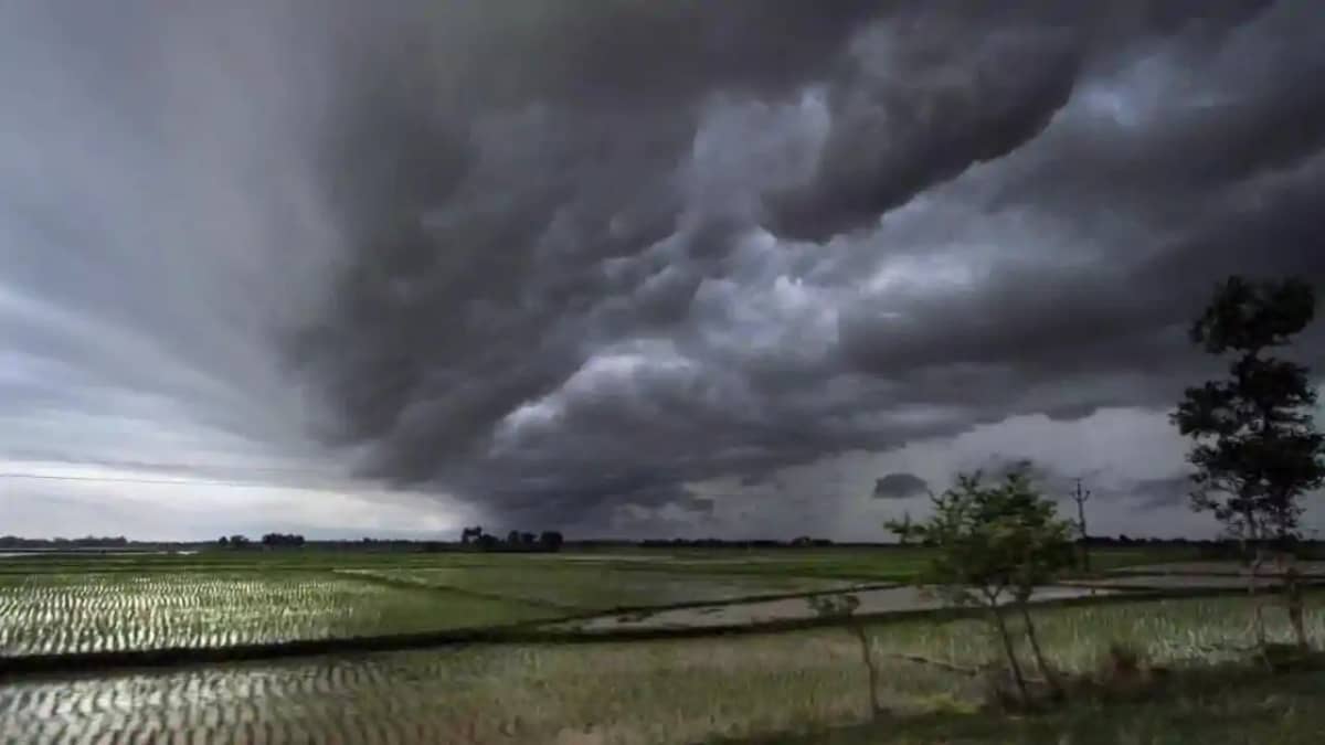 Weather News : देश में मॉनसून की रफ्तार पर लगा 'ब्रेक', 'मॉन Weather News : देश में मॉनसून की रफ्तार पर लगा 'ब्रेक', 'मॉन