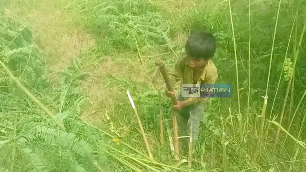 Aurangabad Minors Allegedly Put to Work at Govt Farm Office Aurangabad Minors Allegedly Put to Work at Govt Farm Office