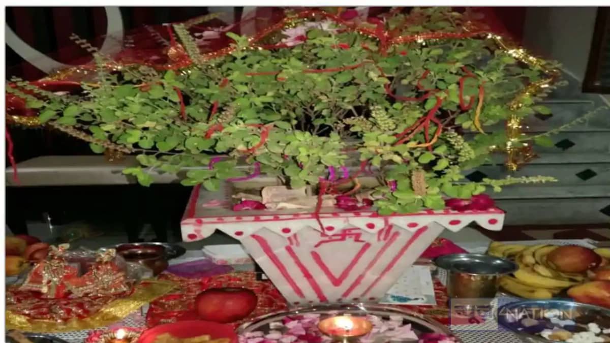 Tulsi ke totkay Tulsi ke totkay