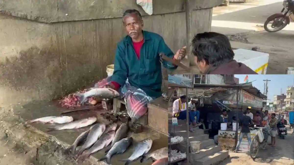 मांस-मछली विक्रेता मांस-मछली विक्रेता